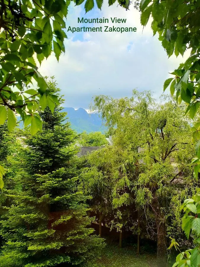 Mountain View Apartment Zakopane